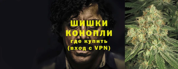 дживик Баксан