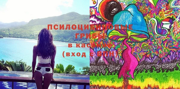 СК Балахна