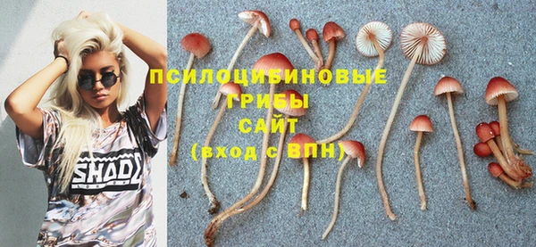 дживик Баксан
