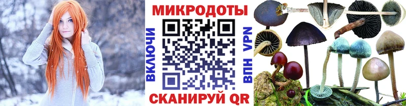 Галлюциногенные грибы Psilocybine cubensis  Семилуки 