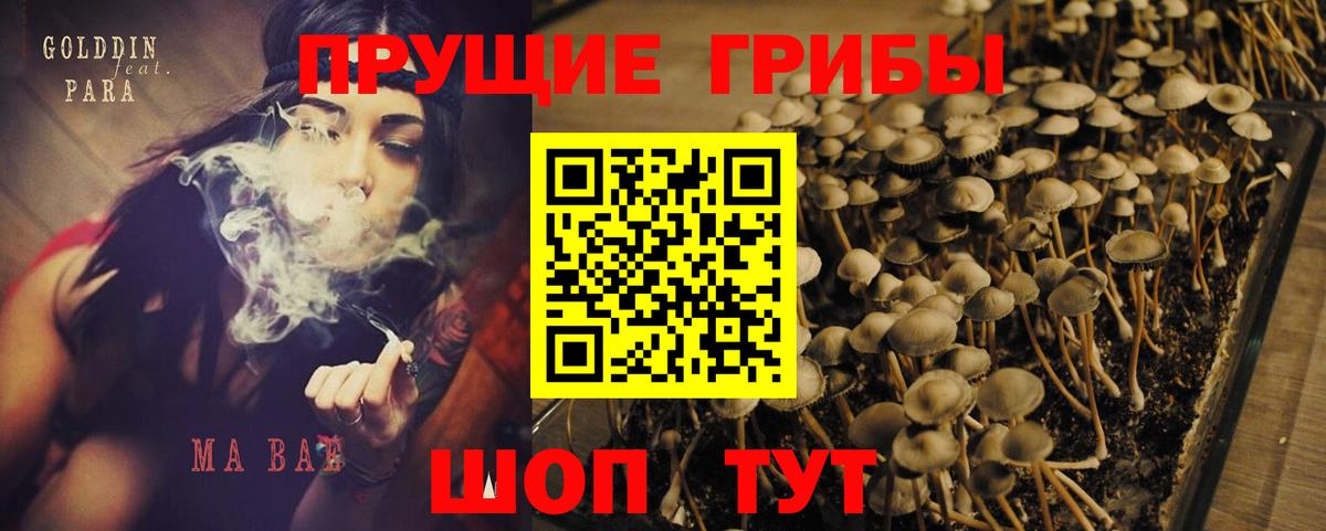 Псилоцибиновые грибы мицелий  Вход с VPN  Семилуки 